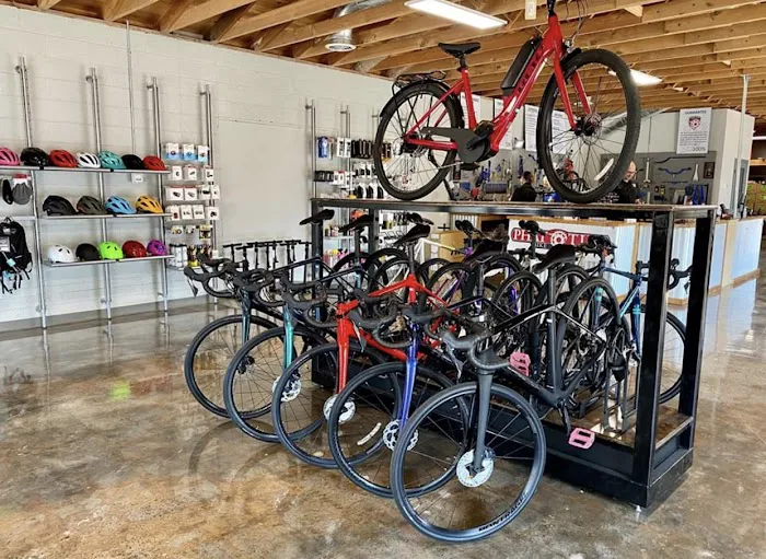 Phat Tire Bike Shop Picture 5