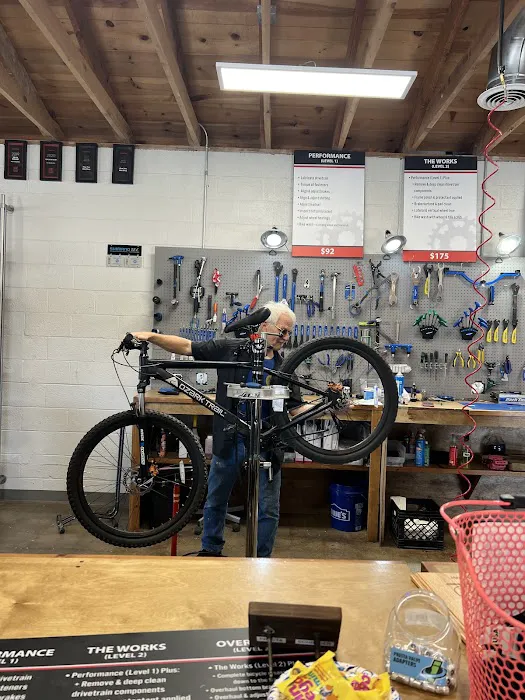 Phat Tire Bike Shop Picture 8