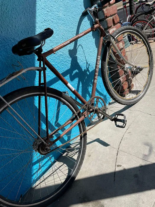 Grizz Alley Bike Shope Picture 6