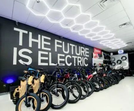 Momentum E Bike Co