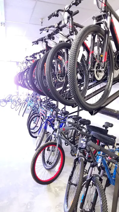 Clovis Bicycle Company Picture 2