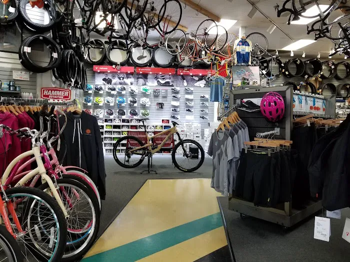 Rubber Soul Bicycles Picture 4