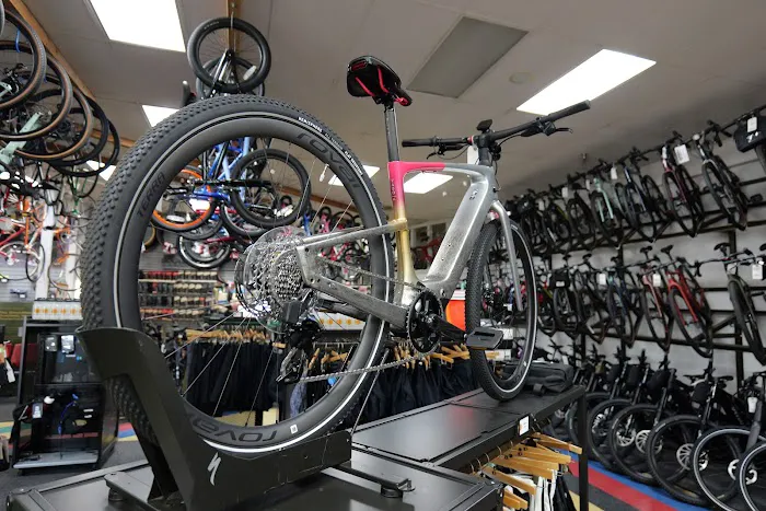 Rubber Soul Bicycles Picture 5