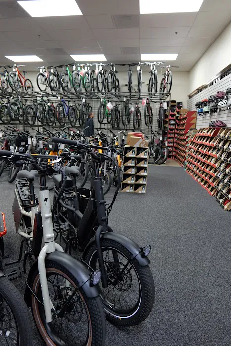 Rubber Soul Bicycles Picture 8