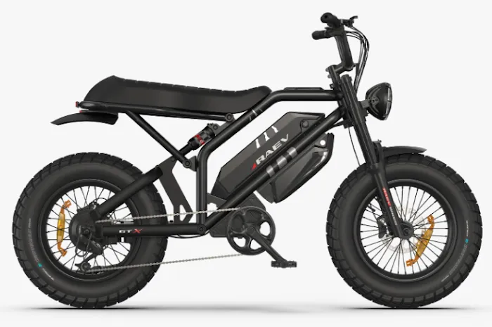 Motion Madness E-bikes Clovis Showroom & Service Picture 10