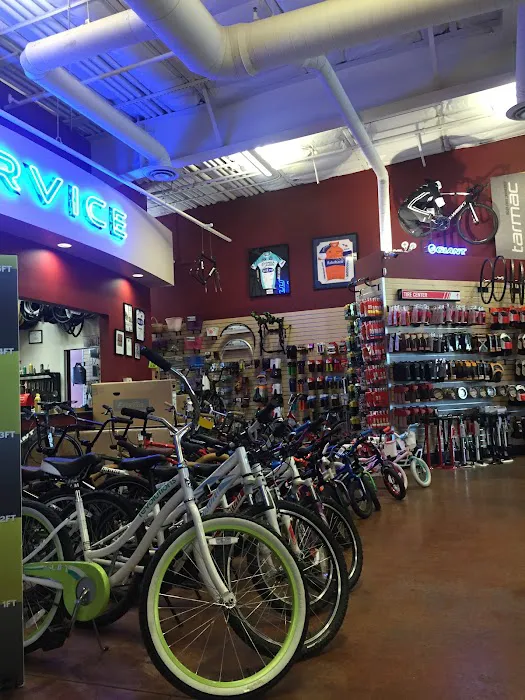 Steven's Bicycles Picture 1