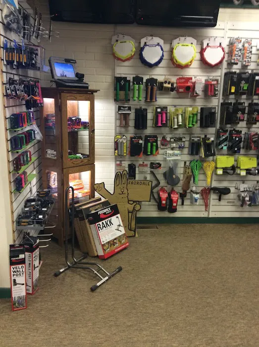 Re-CYCLE Bike Shop Picture 2