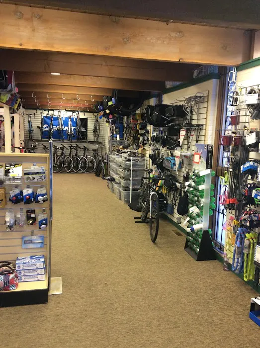 Re-CYCLE Bike Shop Picture 4