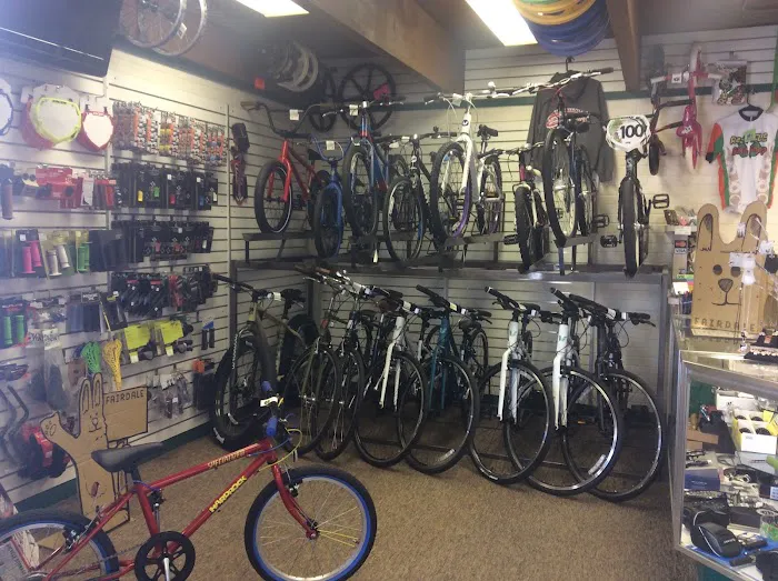 Re-CYCLE Bike Shop Picture 8