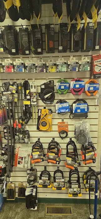 Re-CYCLE Bike Shop Picture 10