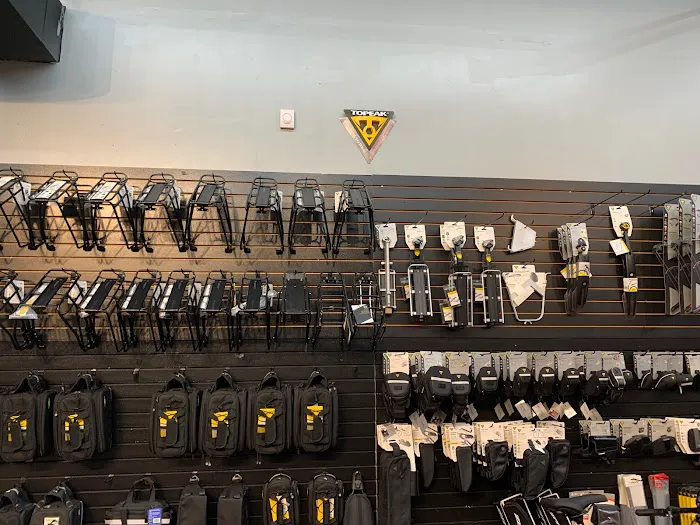 Recumbent Trike Store Picture 2
