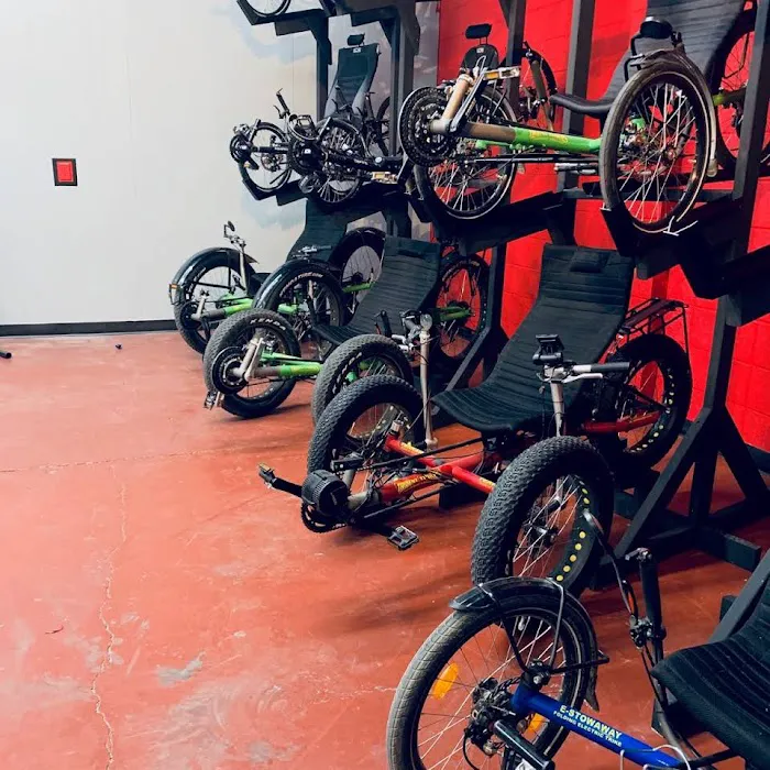 Recumbent Trike Store Picture 5