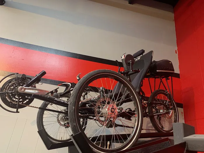 Recumbent Trike Store Picture 6