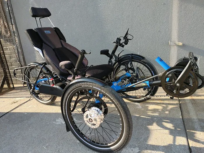 Recumbent Trike Store Picture 10