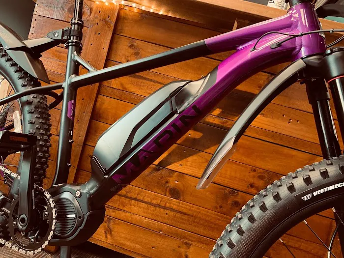 Electric Bicycle Shop Picture 3