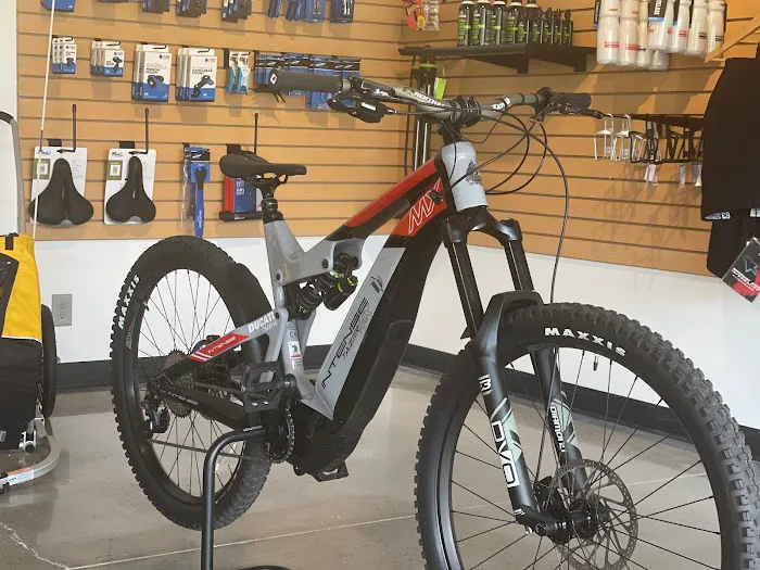 CycleZoo E-Bikes Picture 4