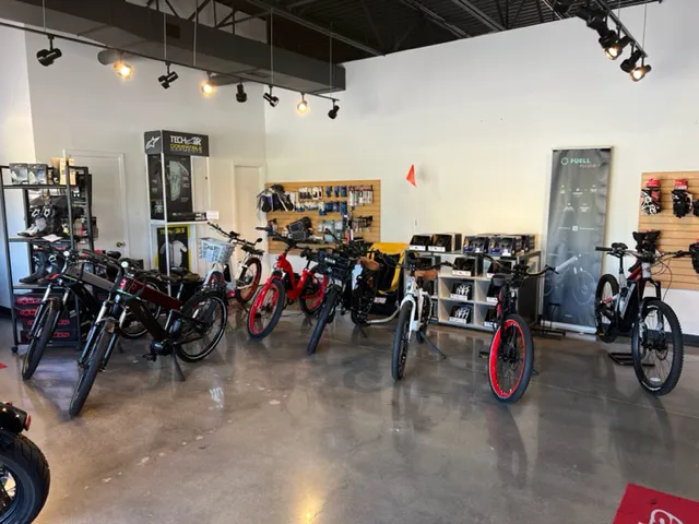 CycleZoo E-Bikes Picture 5