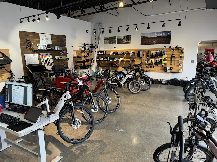 CycleZoo E-Bikes Picture 8