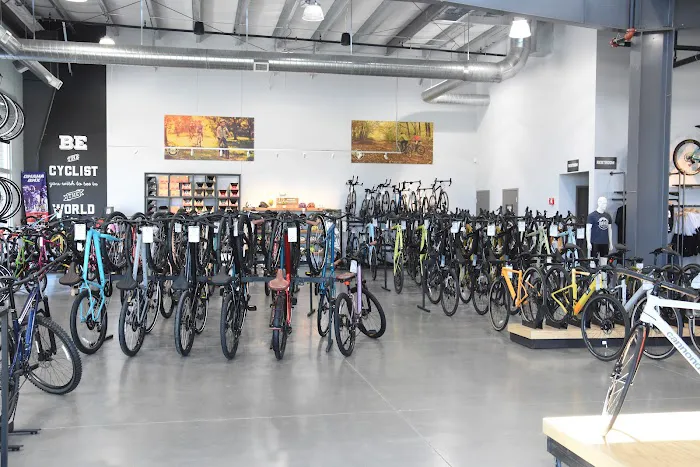 Bike Masters Picture 5