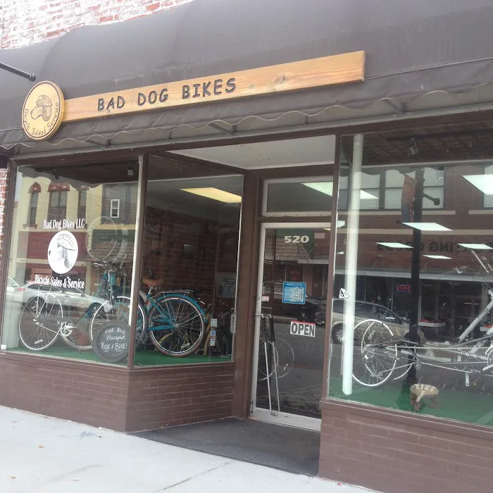 Bad Dog Bikes LLC Picture 1