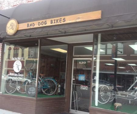 Bad Dog Bikes LLC