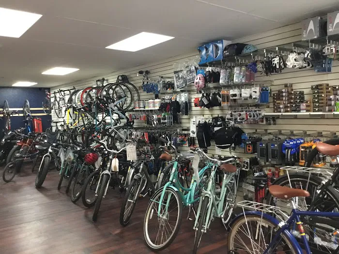 Bad Dog Bikes LLC Picture 3