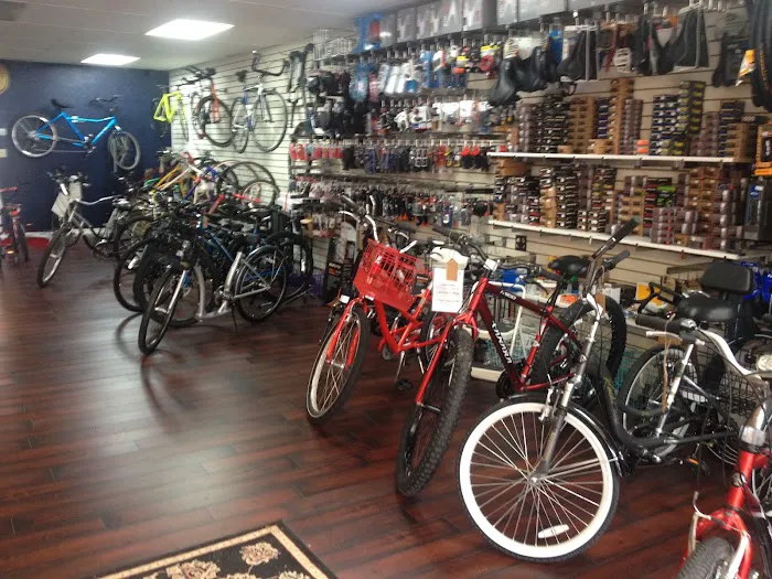 Bad Dog Bikes LLC Picture 6