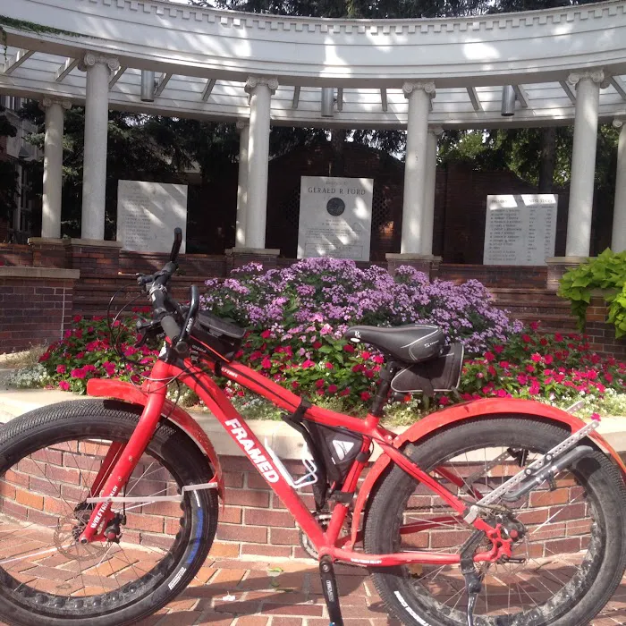 Bad Dog Bikes LLC Picture 4