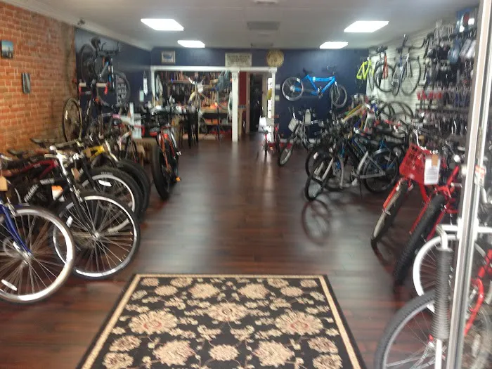 Bad Dog Bikes LLC Picture 7