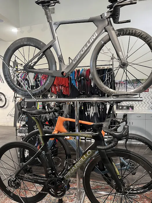 Shama Cycles Picture 6