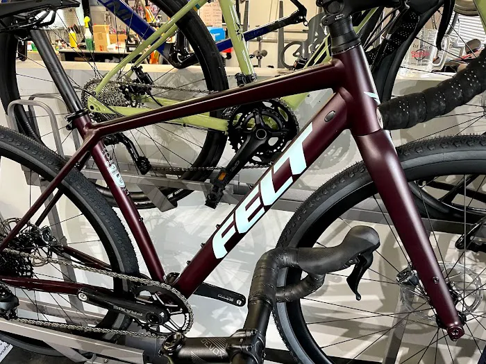 Shama Cycles Picture 4