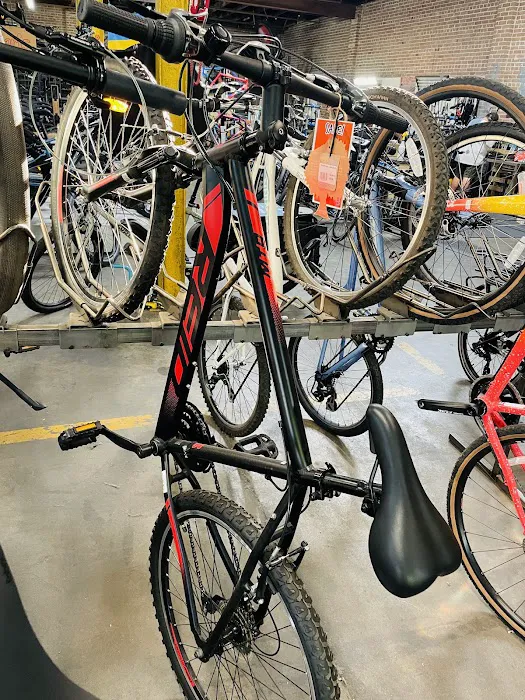 EaDo Bike Co Picture 9