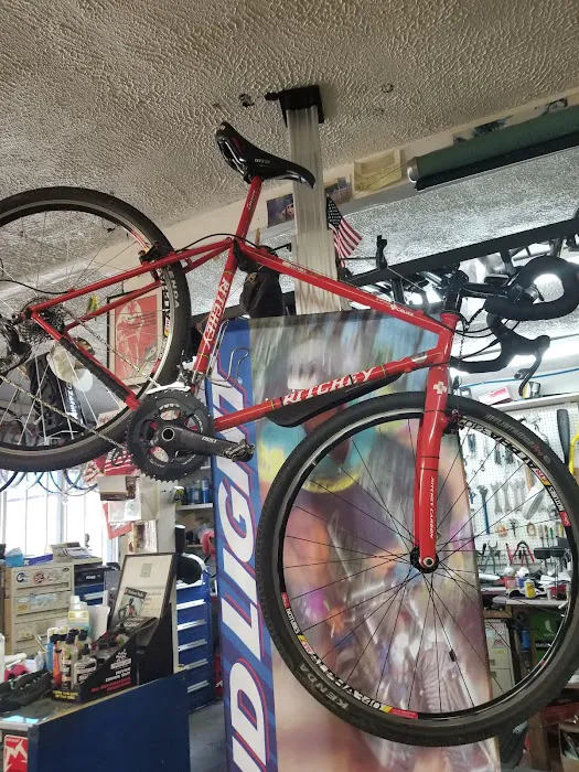 Houston Bicycle Co Picture 1