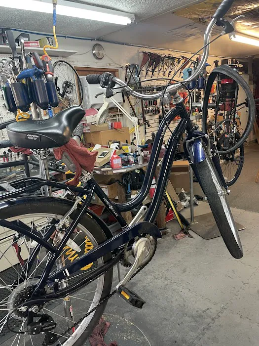 Houston Bicycle Co Picture 6