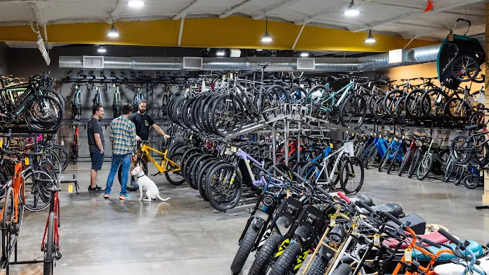 Urban Bicycle Gallery Picture 2