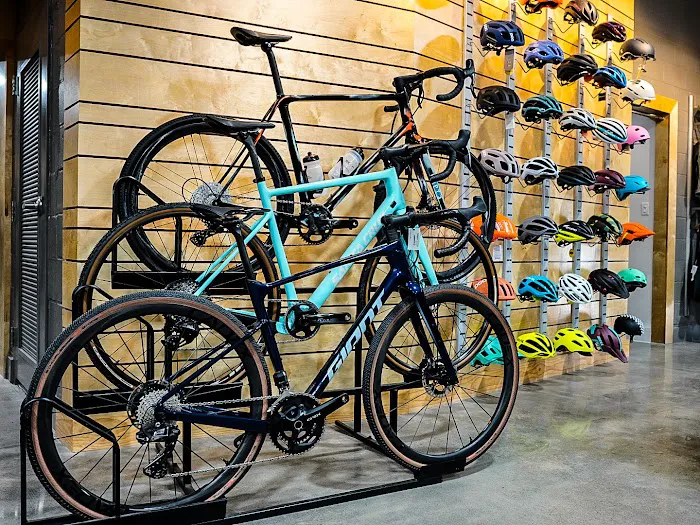 Urban Bicycle Gallery Picture 3