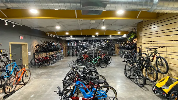 Urban Bicycle Gallery Picture 10