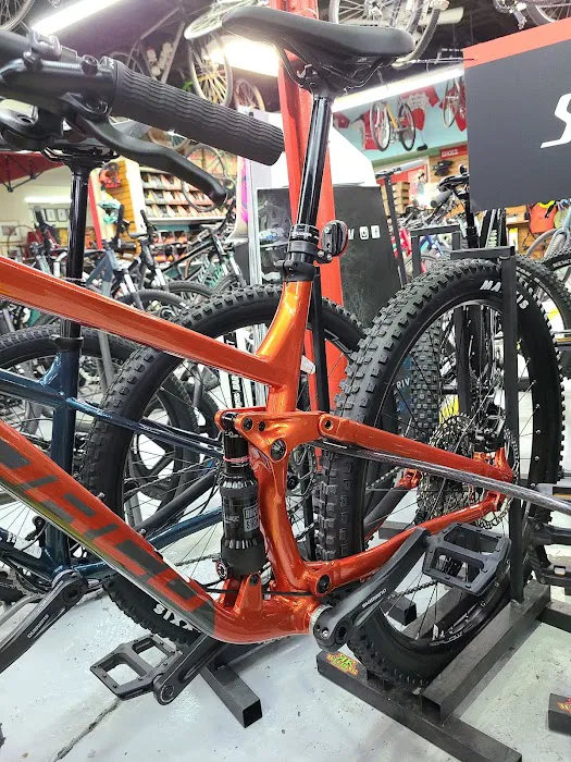 West End Bicycles Picture 9