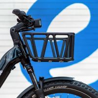 euphree ico