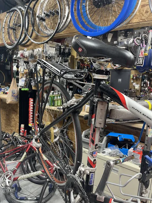 Cyclone Cycles Picture 1