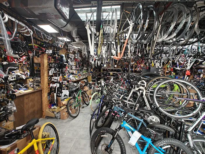 Cyclone Cycles Picture 6