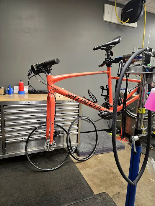 Specialized Houston Picture 2