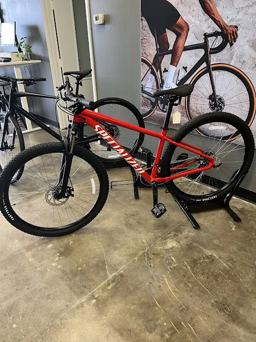 Specialized Houston Picture 5