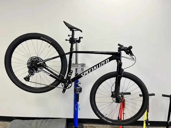 Specialized Houston Picture 7