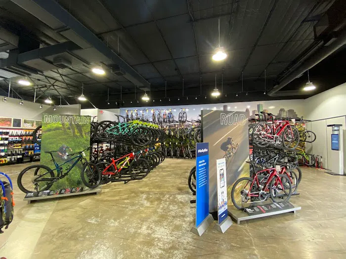 Trek Bicycle Houston Memorial Picture 6