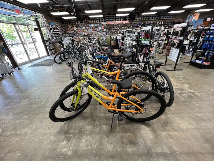 I Cycle Bike Shop Picture 2