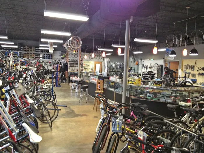 I Cycle Bike Shop Picture 4