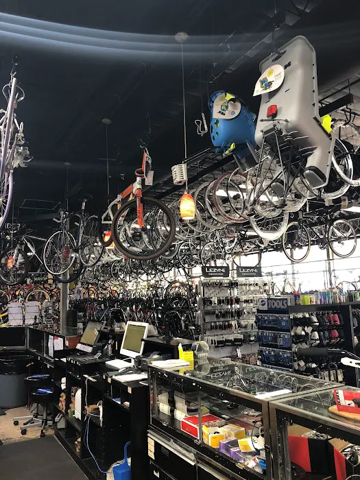 I Cycle Bike Shop Picture 6