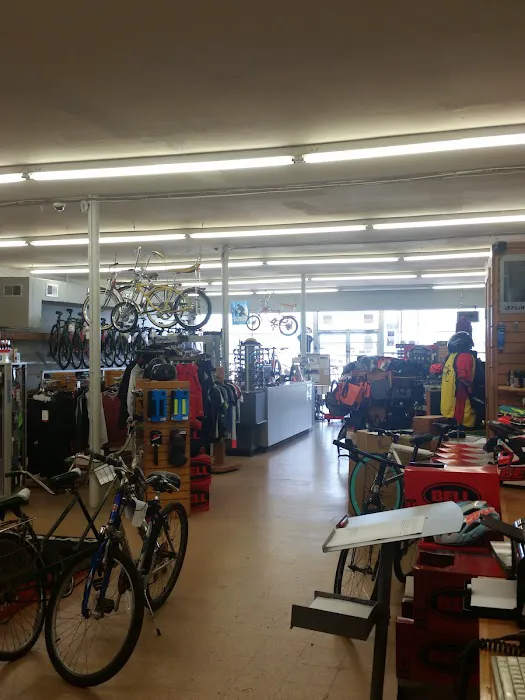 Bay Area Cycling - Pasadena Picture 1