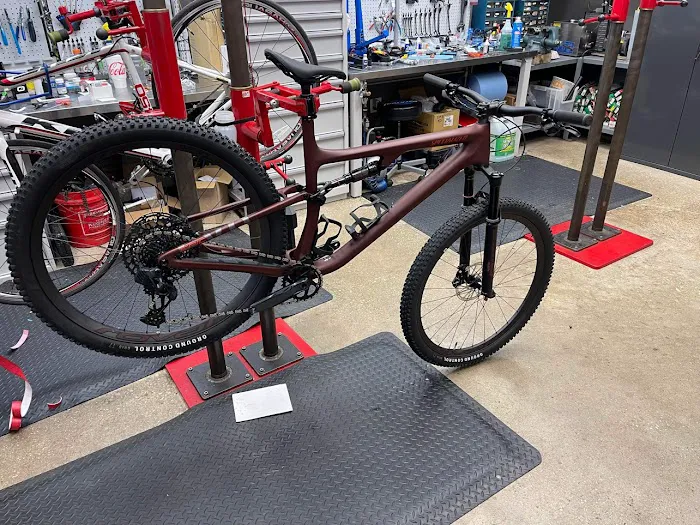Pearland Bicycles Picture 4